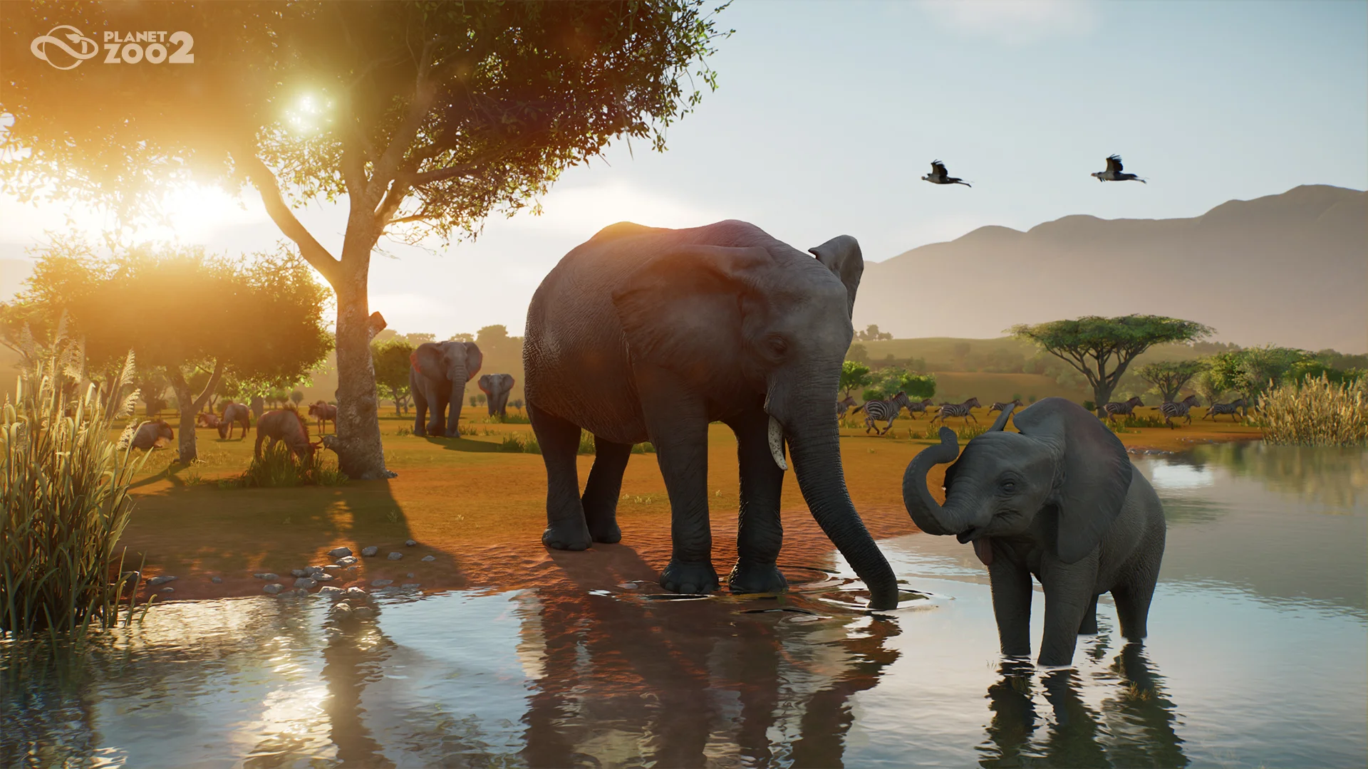 African Savannah Elephant