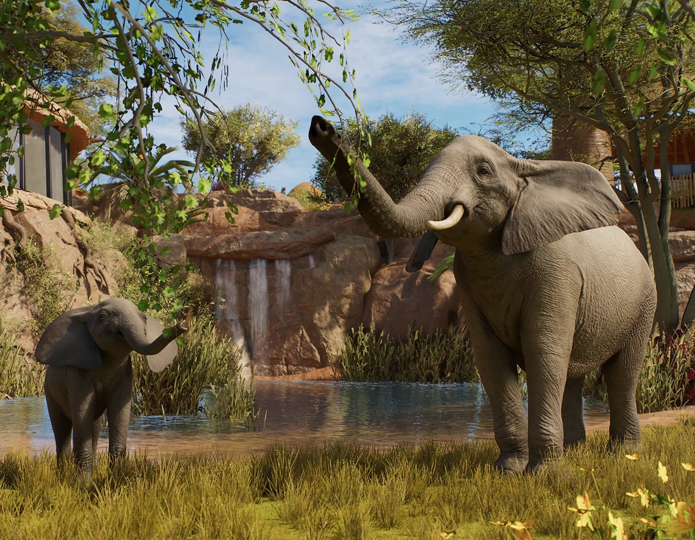 African Savannah Elephant