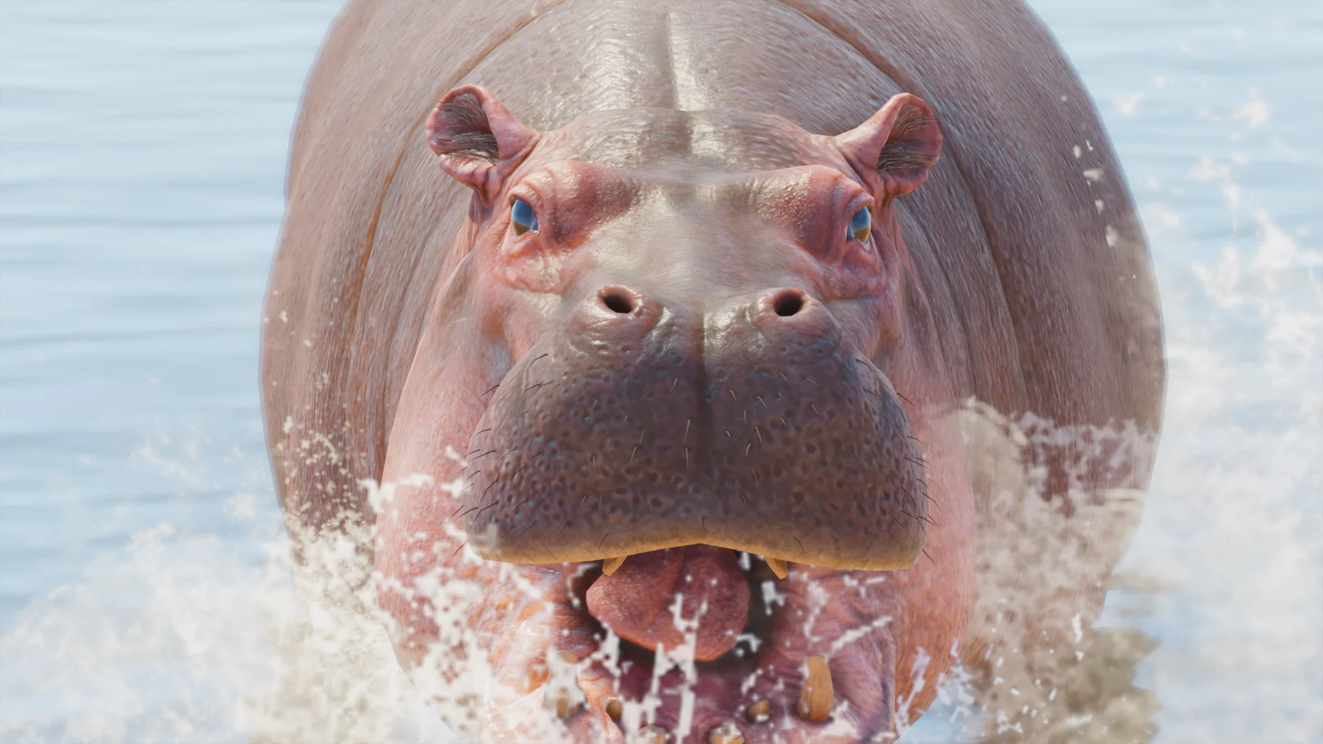 Common Hippopotamus