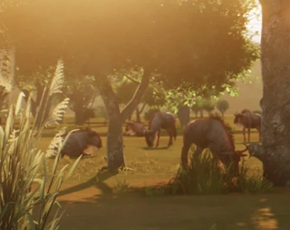 Blue Wildebeest