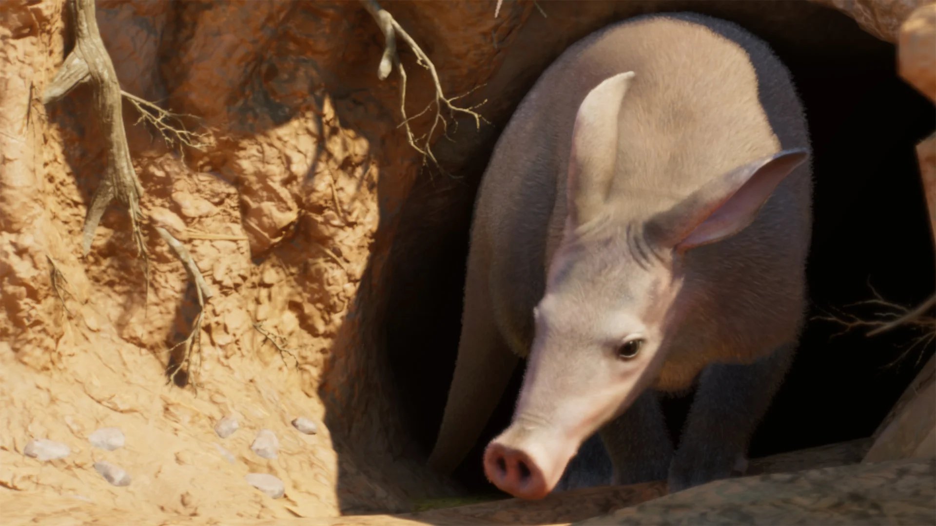 Aardvark