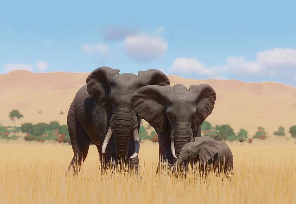 African Savannah Elephant
