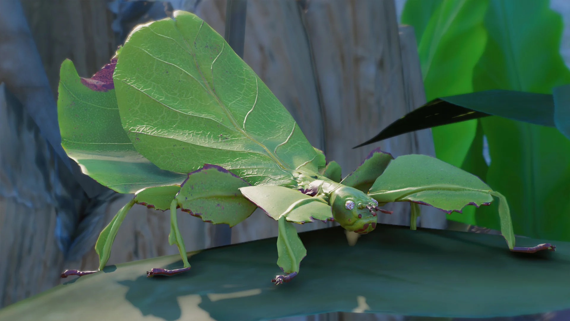 Giant Malaysian Leaf Insect