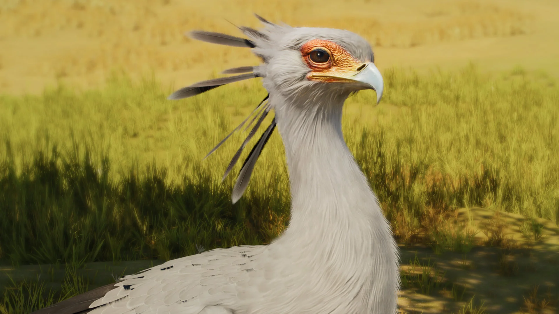 Secretarybird